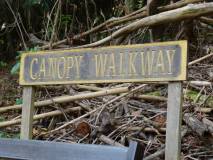 Canopy walkway 